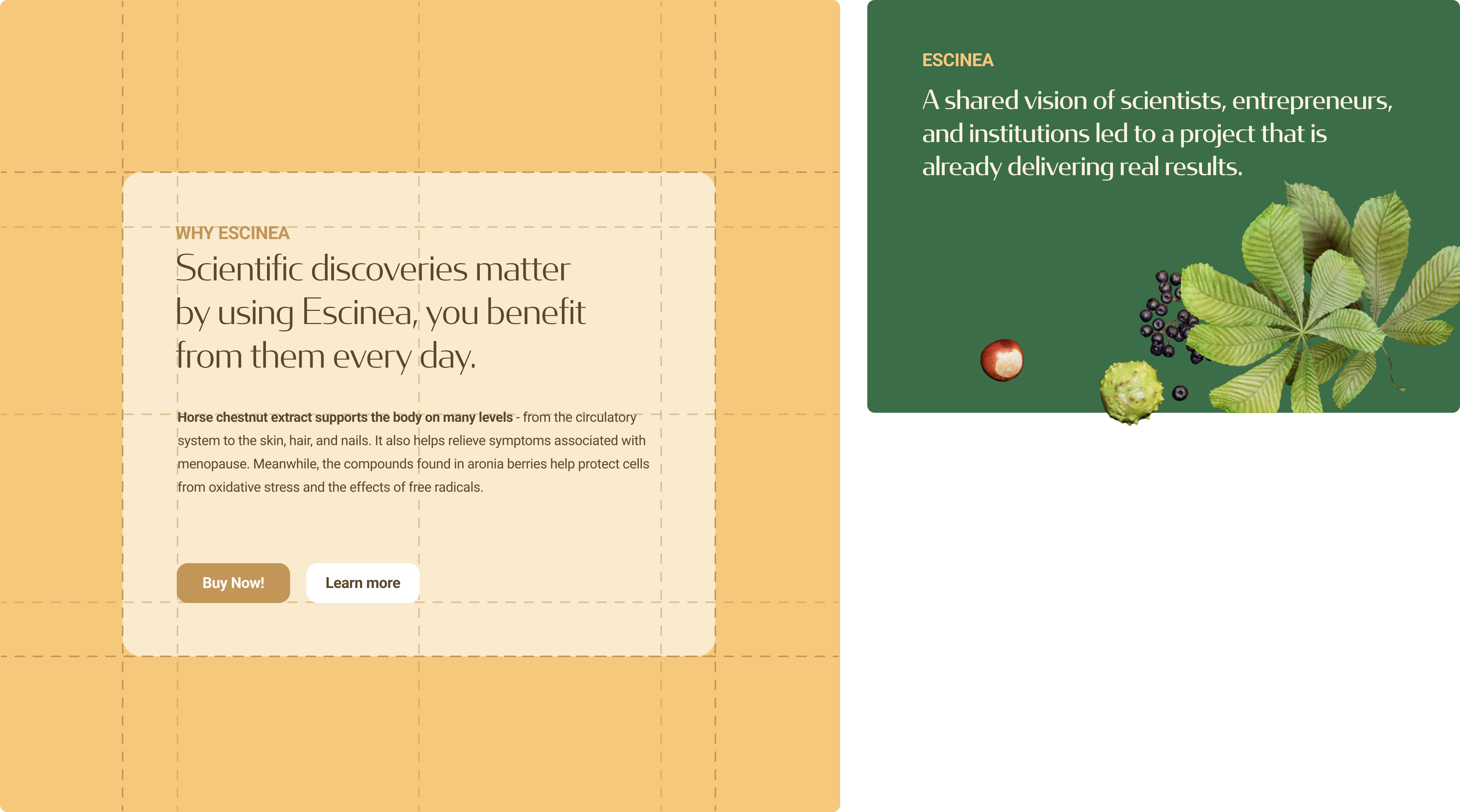 #CaseStudy #UXDesign #UIDesign #Ecommerce #Branding #HealthAndWellness #PremiumBrand #DigitalDesign #StudioWHIS