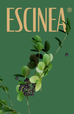 #CaseStudy #UXDesign #UIDesign #Ecommerce #Branding #HealthAndWellness #PremiumBrand #DigitalDesign #StudioWHIS